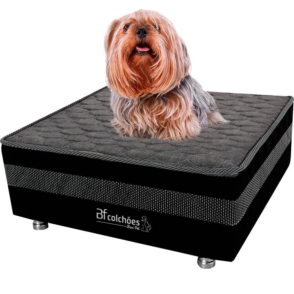 Cama Box Pet Com Lençol Impermeável 60x60x24cm BF Colchões